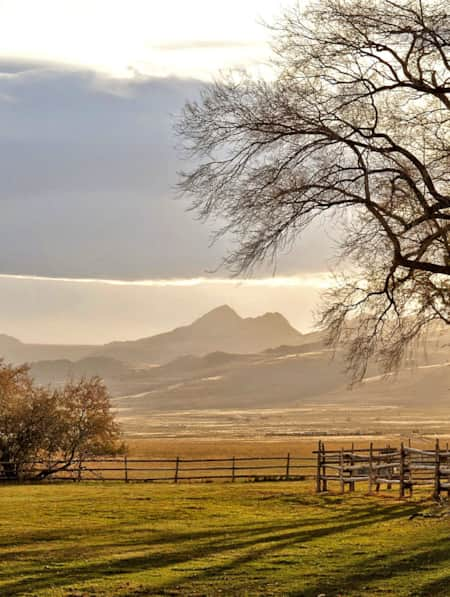 salt lake city tours to yellowstone