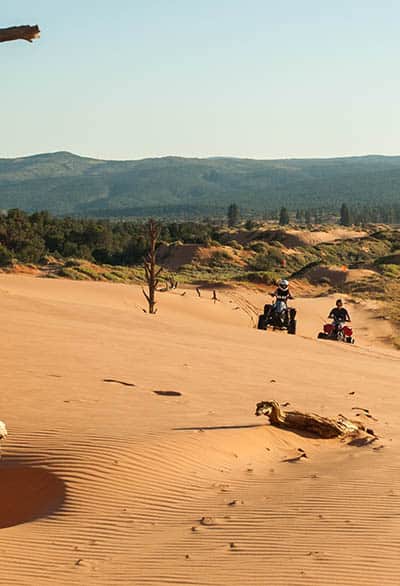 blog_coral_pink_sand_dunes