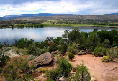 blog_escalante_petrified