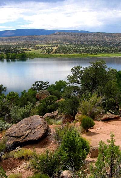 blog_escalante_petrified