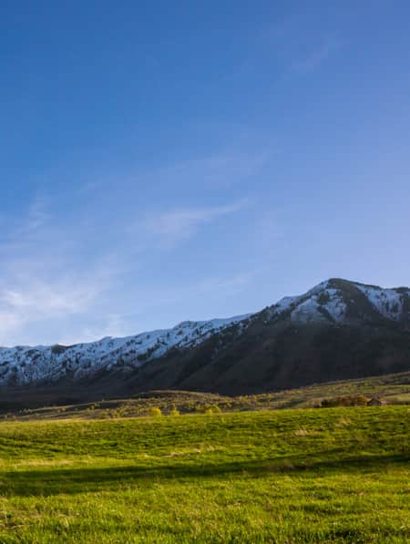 A field of green grass with lightly snow-capped mountains in the background.