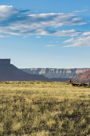 Towering sandstone rock formations overlooking an expansive grass field with cattle and horses.