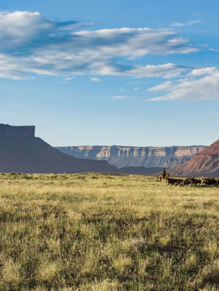 canyonlands national park auto tour