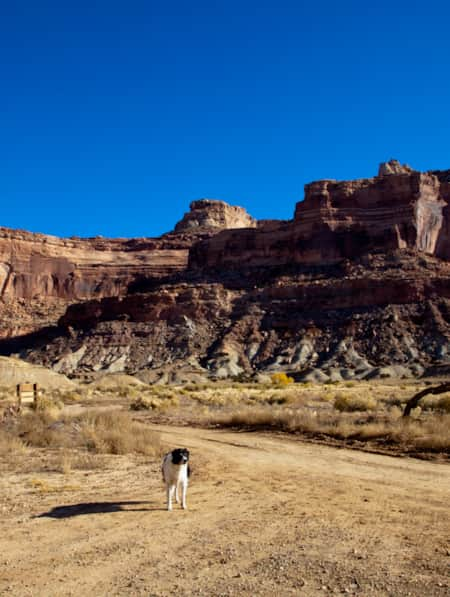 visit to moab