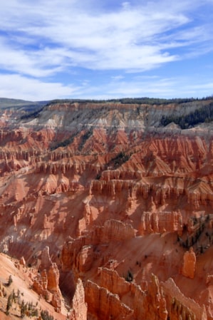 A canyon with hoodoos scattered along its sides.