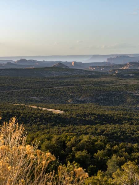 An expansive view of rolling hills covered in green vegetation, with red rock formations in the far distance.