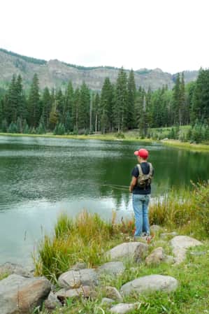 A young boy fishing at the bank of a pond, surrounded by tall trees and vegetation