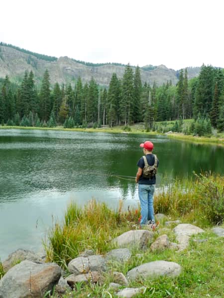 A young boy fishing at the bank of a pond, surrounded by tall trees and vegetation