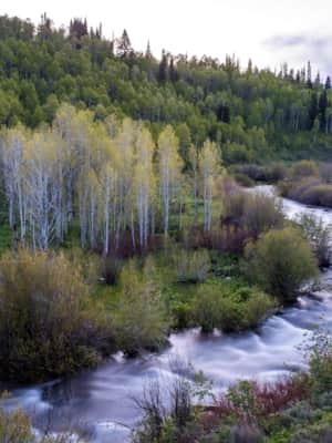 web2000_loganriver_jay-dash_img_5902
