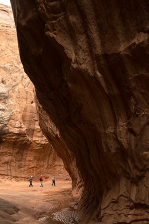 web2000_paththroughcanyons_robbersroost_andrew-burr__burr052319_126