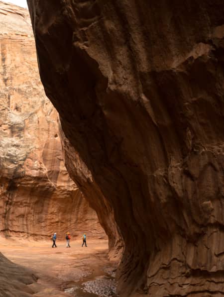 Robbers Roost