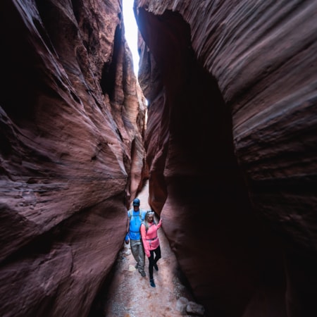 road trip zion national park