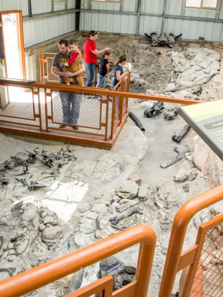 A display of prehistoric dinosaur bones in the ground, with a standing platform for museum guests to use for observation.