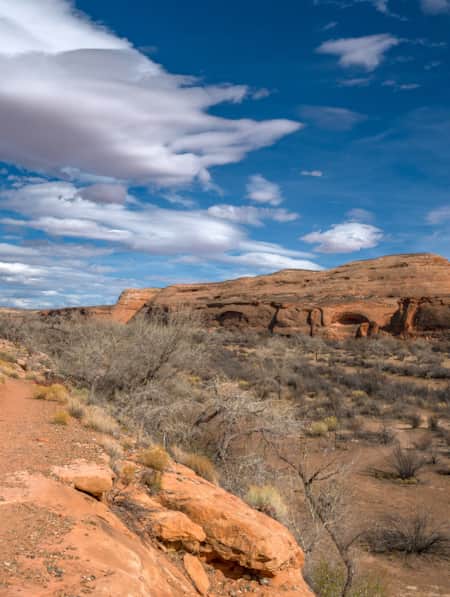 A scenic view of a red rock landscape, with sparse vegetation and various rock formations.