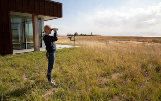 Farmington Bay is a birder’s paradise with more than 60 bird species regularly nesting at Eccles Wildlife Education Center.