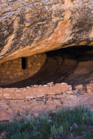 web2000_sdoctorian-butlerwashruins-2591