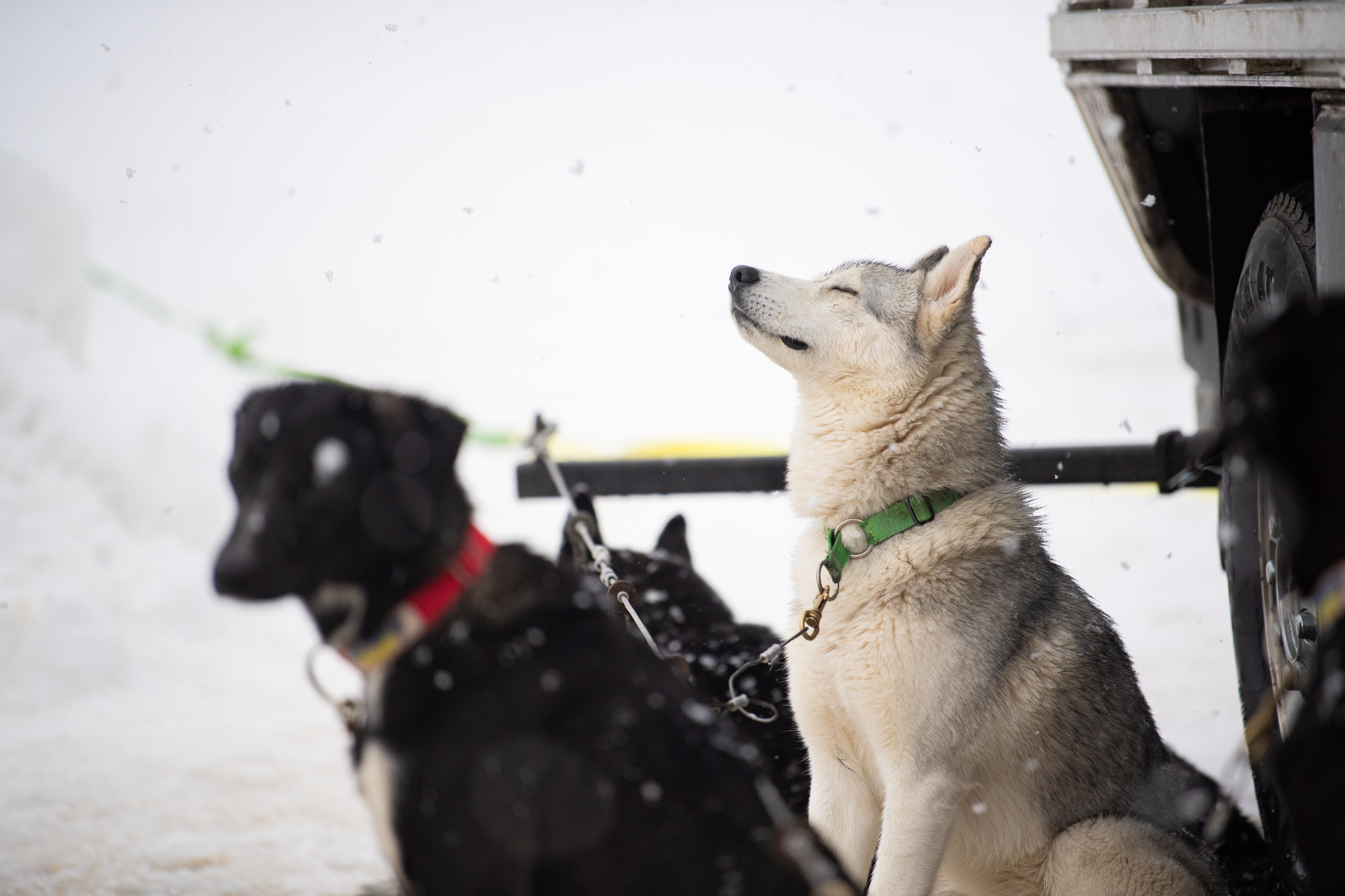 web2000_parkcityguide__schirf_visitut_dsc_5518