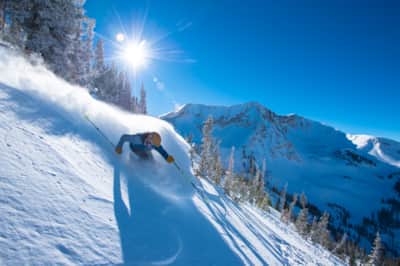 Snowbird Ski Resort