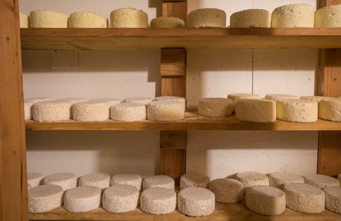 At Mesa Farm and Market, choose from chèvre, ricotta, tome, feta, and crottin.