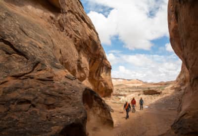 web2000_paththroughcanyons_robbersroost_andrew-burr__burr052219_216