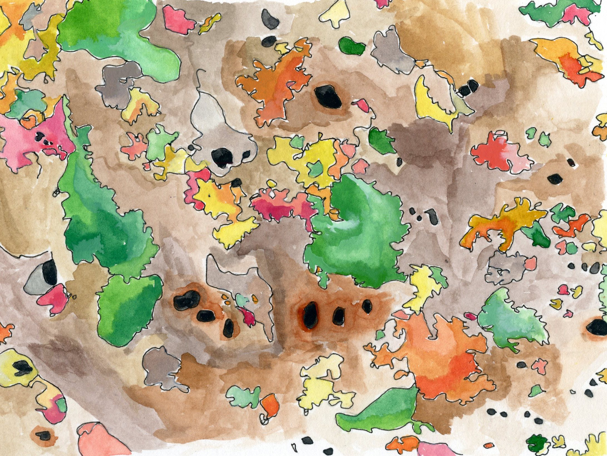 A close-up of a rock in a shadowy canyon. 