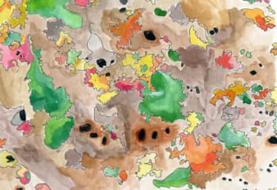 A close-up of a rock in a shadowy canyon.