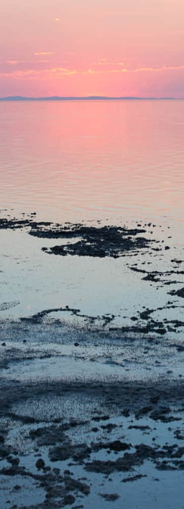 antelope-island_jaimi-butler-7_morgenthau-nicole_2020