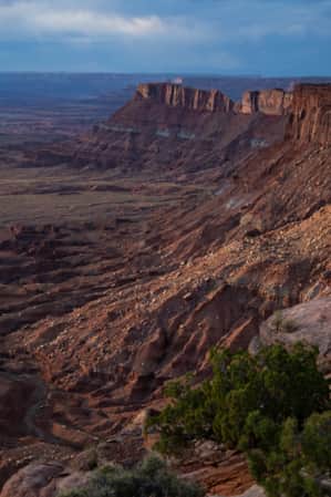 A desert landscape featuring large cliff faces.
