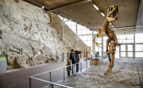 The quarry is home to one of the largest collections of dinosaur bones in the world — more than 1,500.