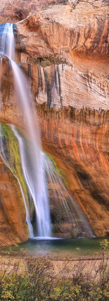 Calf-creek falls cascading down mossy red rock walls with fall foliage in the foreground.