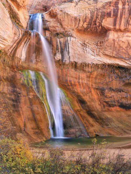 Calf-creek falls cascading down mossy red rock walls with fall foliage in the foreground.