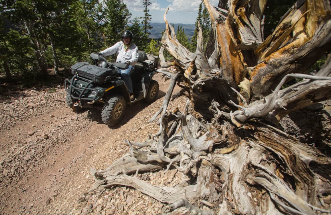 The Paiute ATV Trail is a 275-mile loop that's located in and around the Fishlake National Forest.