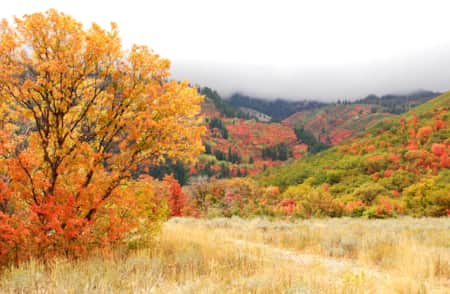 Wheeler Canyon