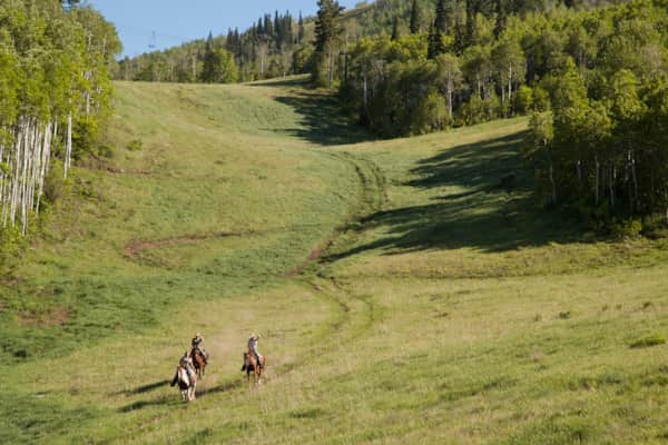 Horseback Riding in Utah | National Parks Horseback Riding | Visit Utah