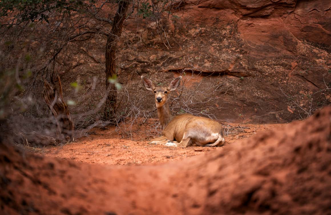 Arches National Park