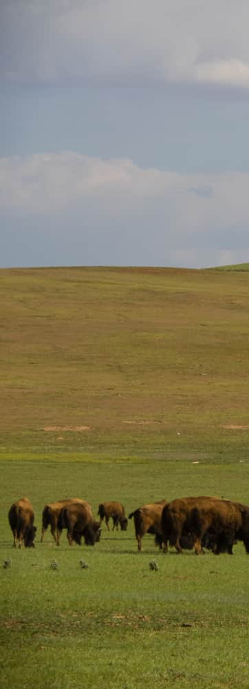 What to do in Utah - What to Do in Fort Duchesne