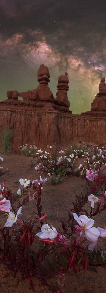 Dark-Sky_South_Hoodoos_Moonflower_Zajac-Marcin_2023_Goblin-Valley