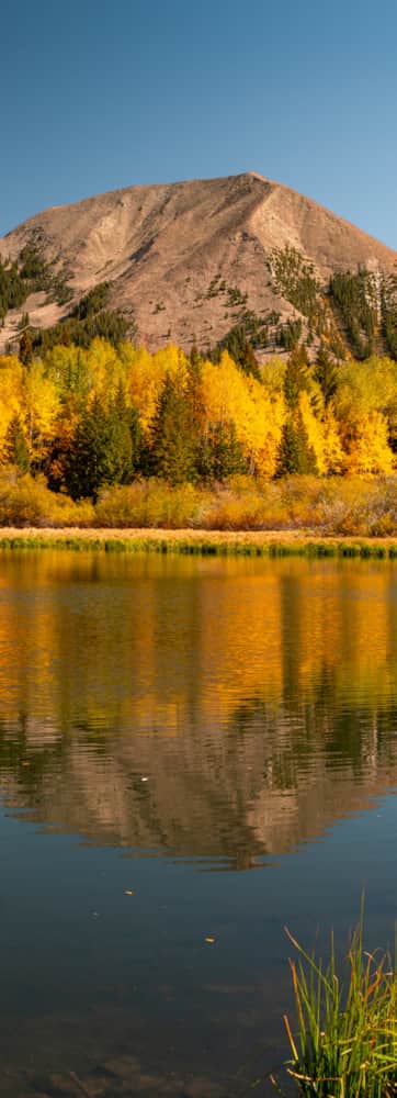 Manti-La Sal National Forest