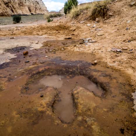 Dinosaur footprint in San Rafael Swell