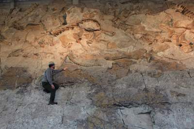 Uintah-County_Dinosaur-National-Monument_Osler-Mark