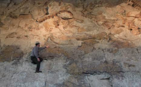 Dinosaur National Monument