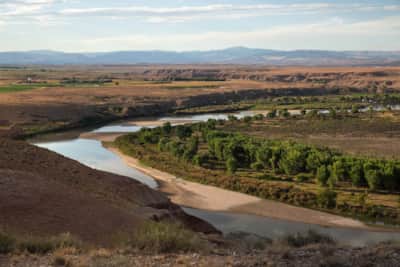 A stunning vista of the Green River from Leota Bluff Road in Ouray National Wildlife Refuge.