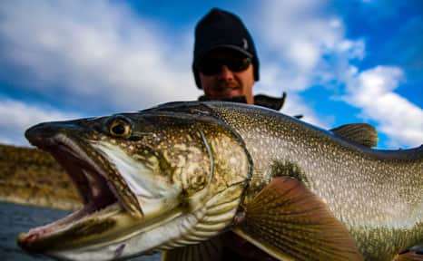 If you’re new to fishing, all you’ll need to get started is a basic set up of a spinning rod with line, tackle, and bait and/or lures.