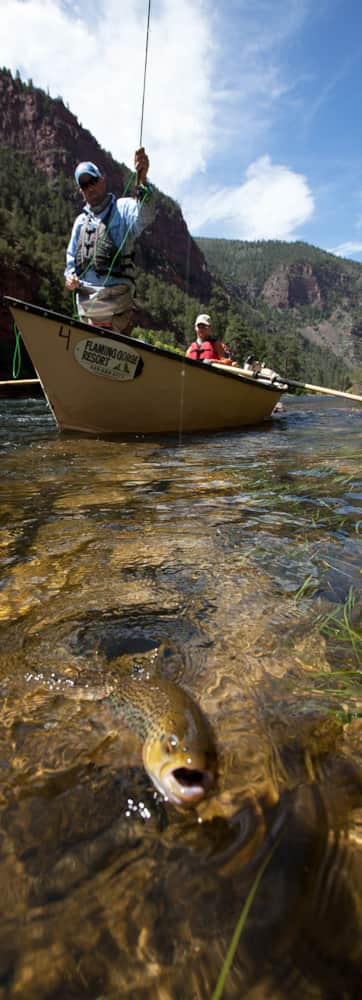 Green River Fishing, Fly Fishing, Sections, Guides