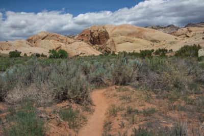 Sound of Silence Trail