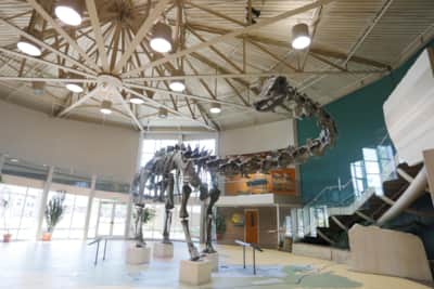 Utah Field House of Natural History State Park Museum