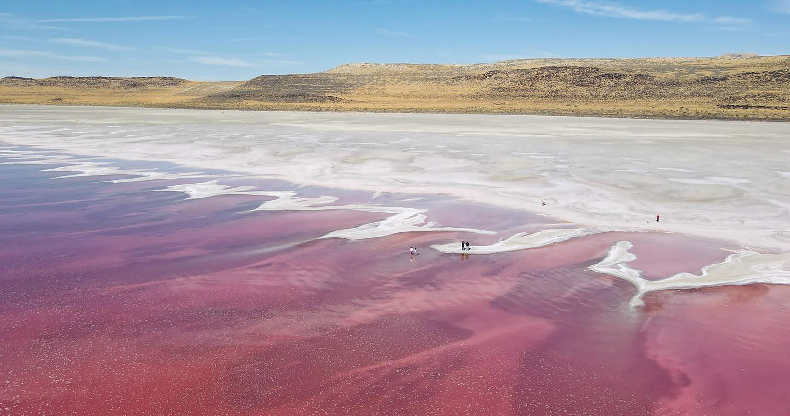 Pink lake at Stansbury Island