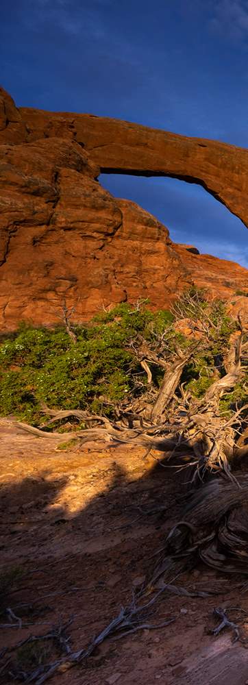 Arches-National-Park_Mighty-Five_Payne_Angie_2020