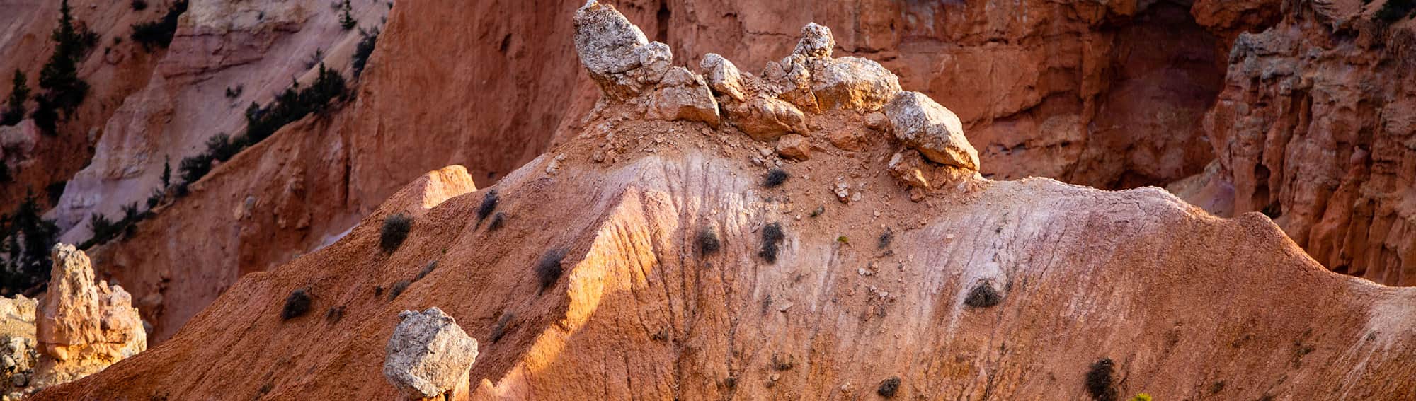 Thanksgiving Point: A Utah Family Destination for Curious Minds | Visit ...