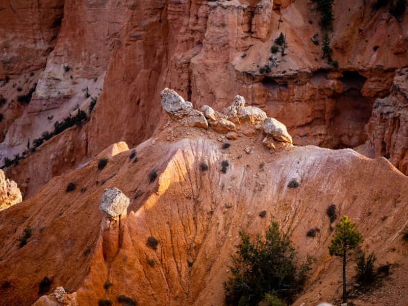 Thanksgiving Point: A Utah Family Destination for Curious Minds | Visit ...